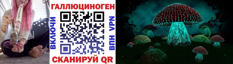 Галлюциногенные грибы Psilocybine cubensis  Похвистнево 